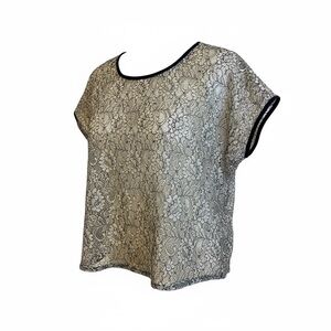 Chloe Top Gold Black Womens Large Lace